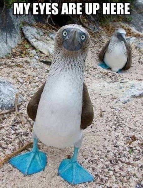 c0d9ae84fe7e0b81c62dfdb76e300b56