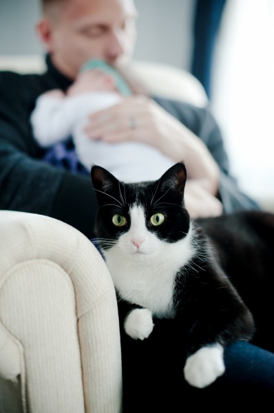 155_Cotten-307_final