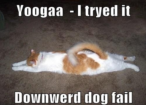 fd5140eda37fd1143b9d9d0ad1cc02db