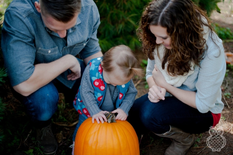 906701_830415107049062_5883259262520709784_o