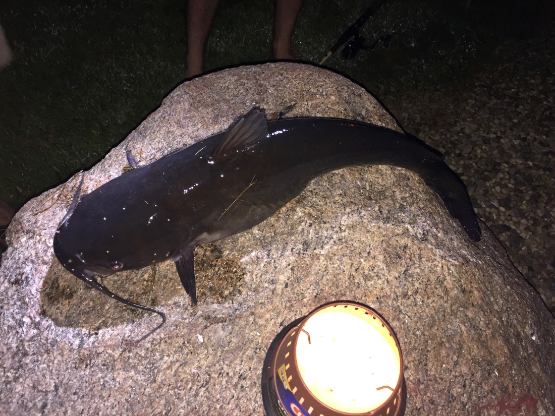 Camp Cotten | Adult Summer Camp