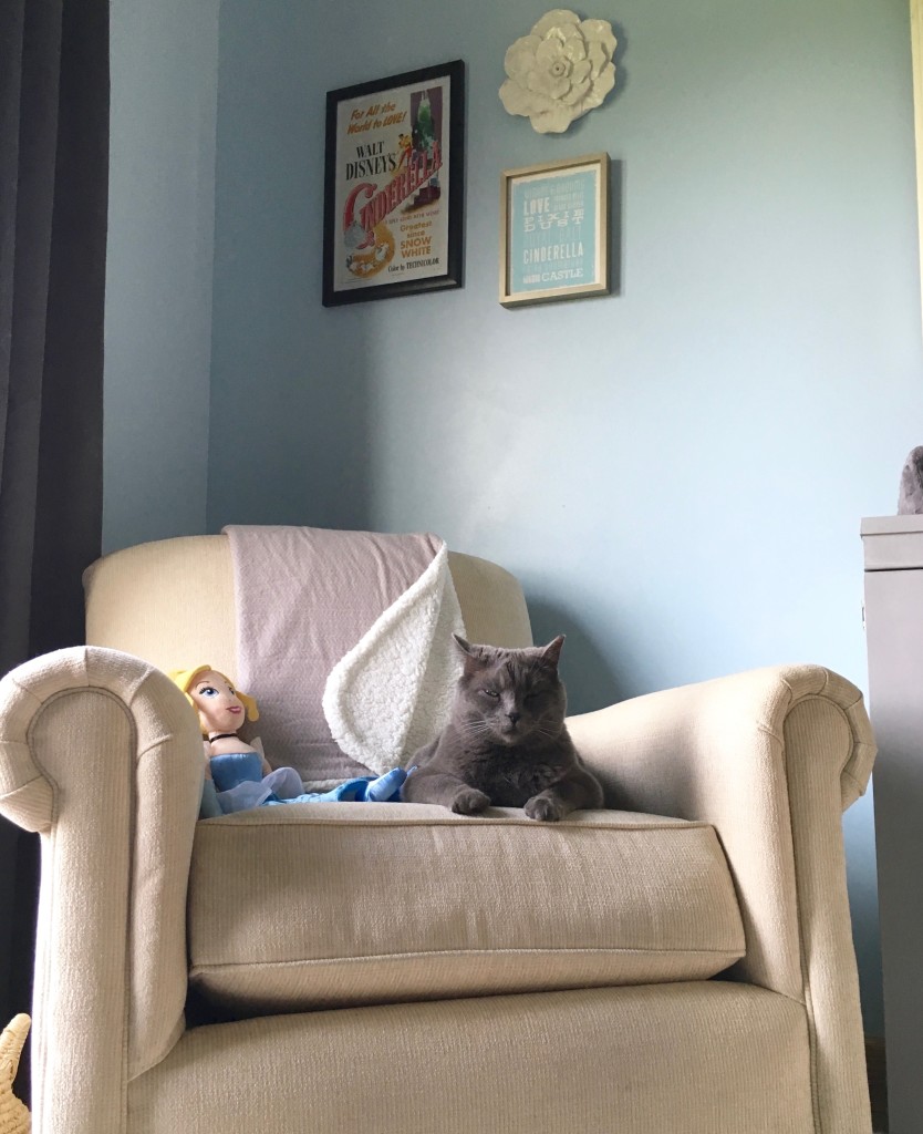 Cinderella_Nursery15