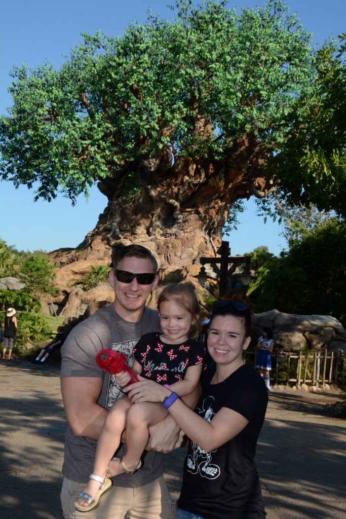 ak_trplazaright_20161026_7841425511